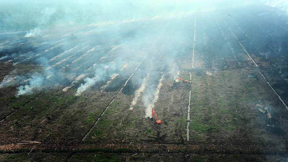Kepulan asap terlihat dari lahan perkebunan yang dibakar, di kawasan Kecamatan Sungai Ambawang, Kabupaten Kubu Raya, Kalbar, Rabu (6/8). Dari hasil pantauan Helikopter MI-8 yang diturunkan Badan Nasional Penanggulangan Bencana (BNPB) untuk memadamkan titik api (hot spot) di Kalbar, ternyata titik api yang ada di Kabupaten Kubu Raya berasal dari pembakaran lahan perkebunan sawit milik perusahaan swasta di Sungai Ambawang. Hal tersebut menyebabkan timbulnya kabut asap tebal yang melanda Kota Pontianak dan sekitarnya. ANTARA FOTO /Jessica Helena Wuysang/ss/nz/14