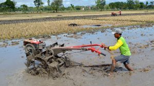 Petani menggarap lahan pertanian di areal persawahan, Kab. Madiun, Jatim, Senin (14/7). Berdasarkan hasil survei Badan Pusat Statistik terhadap pendapatan petani, rata-rata pendapatan rumah tangga pertanian sebesar Rp. 2,2 juta perbulan atau Rp. 550.000 perkapita perbulan dengan asumsi rata-rata jumlah anggota rumah tangga empat orang. ANTARA FOTO/Siswowidodo/Asf/Spt/14.