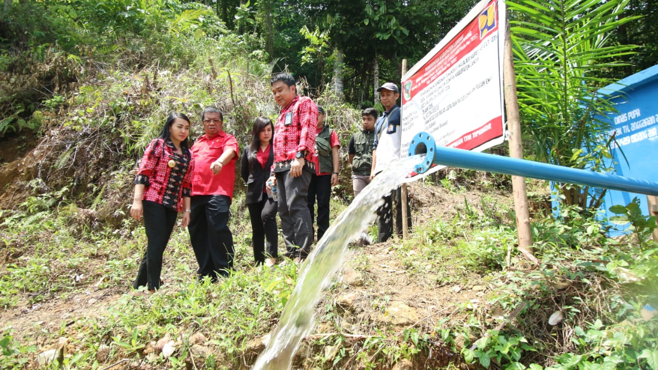 Bupati Landak, Karolin Margret Natasa