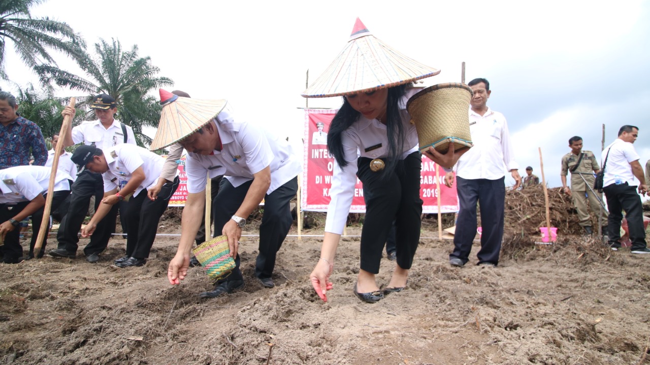 Bupati Landak, Karolin Margret Natasa