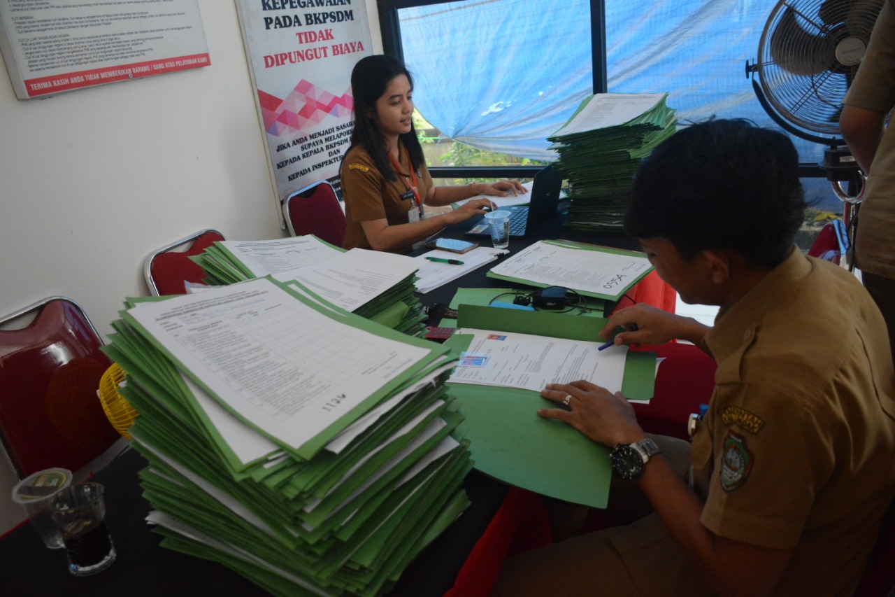 Panitia seleksi CPNS lakukan verifikasi berkas