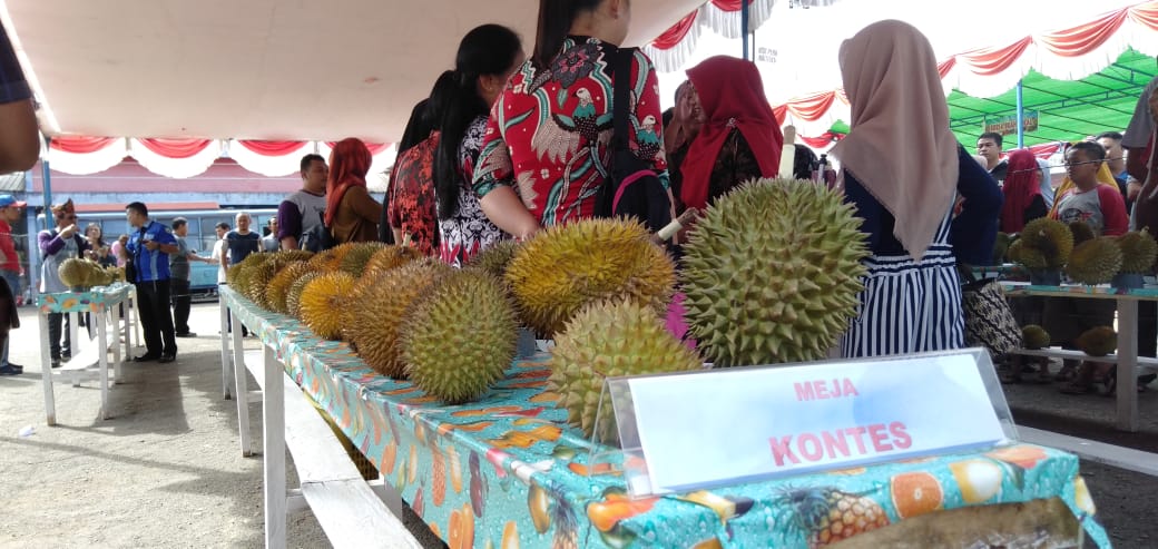 Foto—Durian yang dipertandingkan dalam Kontes Durian dan Bursa Buah-buah lokal Sanggau 2020 yang digelar Sabtu (8/2/2020) di terminal bus Kota Sanggau---Kiram Akbar