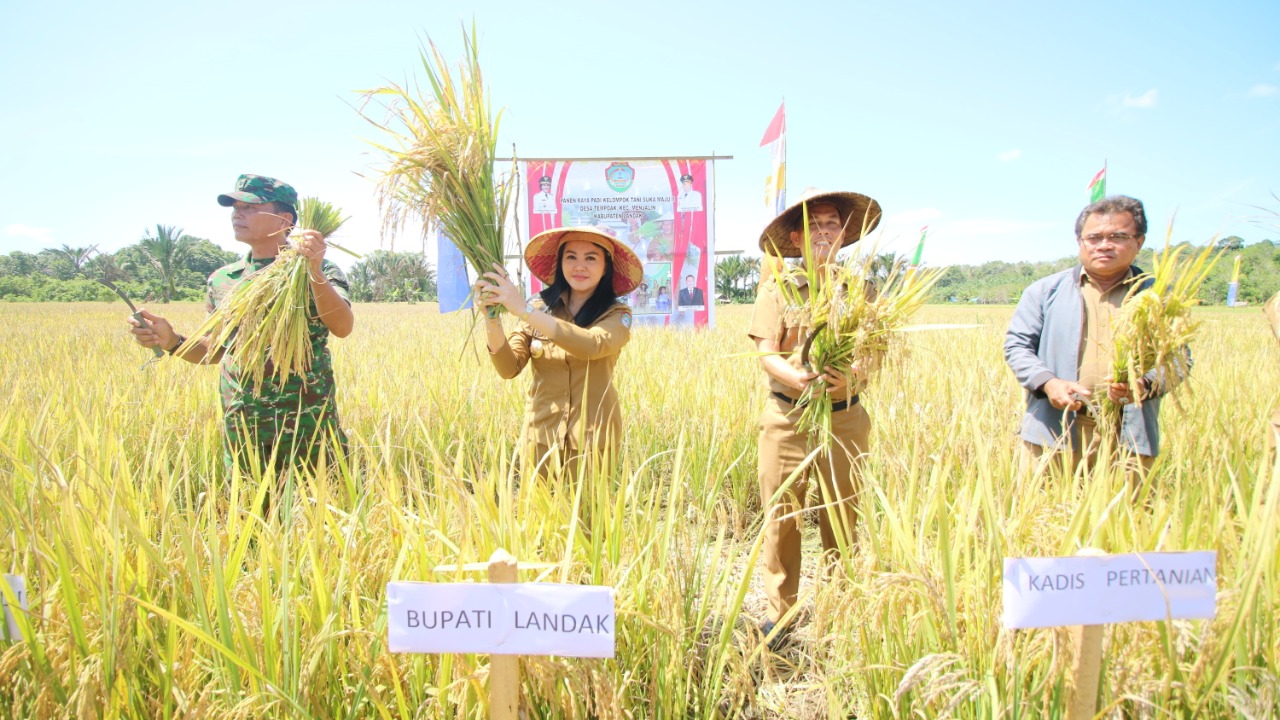 Bupati Landak, Karolin Margret Natasa